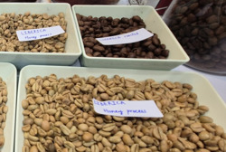 Giá cà phê hôm nay 7-3: Tăng tiếp, một loại cà phê đang được yêu thích vào vụ