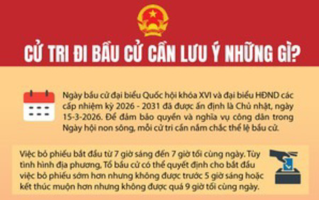 Cử tri đi bầu cử cần lưu ý những gì?