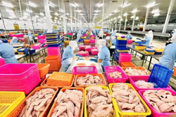 Hộ kinh doanh phải báo cơ quan thuế các tài khoản nhận tiền