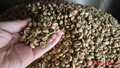 Giá cà phê ngày 10-4: Robusta và Arabica cùng giảm