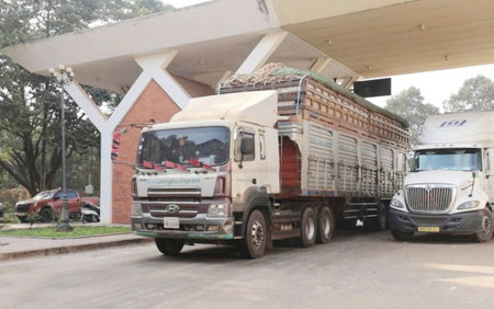 Tiếp tục tạm ngưng hiệu lực Nghị định 46 về an toàn thực phẩm