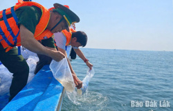 Xây dựng nghề cá có trách nhiệm