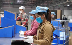 Người lao động đề xuất hoán đổi lịch làm việc để nghỉ liền 4 ngày dịp Ngày Văn hóa Việt Nam 24-11