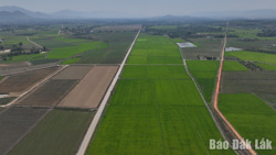 Nông nghiệp chính xác: Hướng đến nền nông nghiệp xanh, thông minh