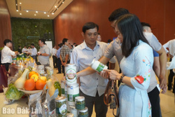 Đắk Lắk có 1 ngôi sao hợp tác xã toàn quốc năm 2026 và 1 sản phẩm hợp tác xã đạt giải Mai An Tiêm