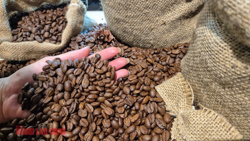 Giá cà phê hôm nay 14-4: Tăng trở lại, Mỹ tăng tốc nhập cà phê Việt