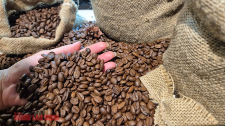 Giá cà phê hôm nay 14-4: Tăng trở lại, Mỹ tăng tốc nhập cà phê Việt