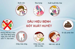 Ngăn chặn sốt xuất huyết: Giám sát và phòng, chống dịch cần thực hiện liên tục