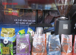 Giá cà phê hôm nay 15-4: Robusta bất ngờ tăng mạnh, nguồn cung vẫn là ẩn số
