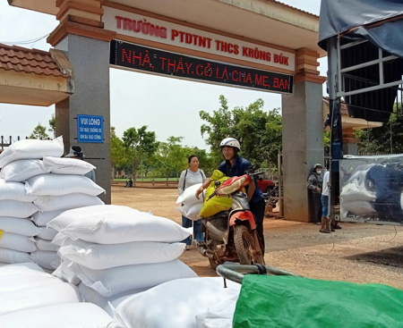 Cấp phát gần 1.250 tấn gạo cho học sinh, học viên năm học 2025 - 2026