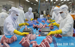 Cú hích đưa kinh tế biển bứt phá