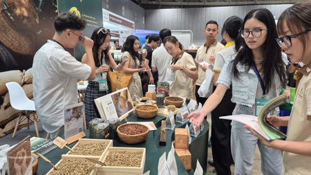 Giá cà phê hôm nay 17- 4: Quay đầu giảm, dân trong nghề thích ứng xu thế cà phê mới