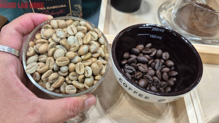 Giá cà phê hôm nay 18-4: Giảm tiếp, bất chấp Brazil xuất khẩu thấp nhất 8 năm qua