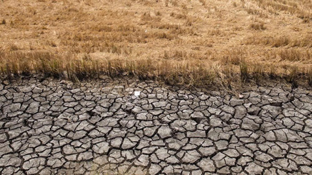 El Nino 2026: Cảnh báo thiếu hụt nguồn nước, tiềm ẩn rủi ro an ninh năng lượng