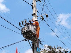 PC Đắk Lắk khẩn trương sửa chữa, bảo dưỡng lưới điện, bảo đảm cung ứng điện mùa nắng nóng