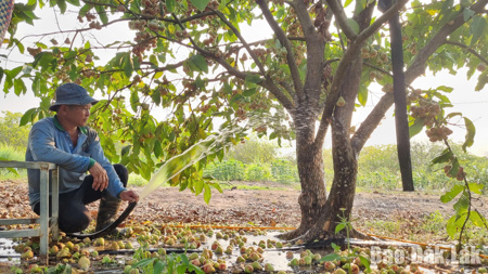 Cần chủ động ứng phó với tình hình thời tiết chuyển mùa