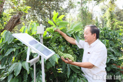 Kinh tế tập thể chuyển mình mạnh mẽ