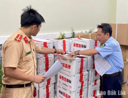 Chủ động kiểm soát thị trường, phòng, chống gian lận thương mại