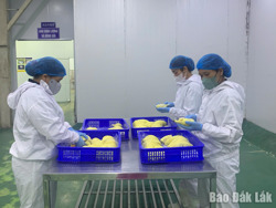 Khoa học công nghệ - “chìa khóa” tăng trưởng