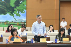 Rà soát quy định ngưỡng doanh thu miễn thuế với hộ kinh doanh