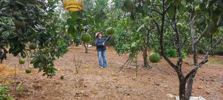 Xuất khẩu rau quả nhiều tín hiệu khả quan