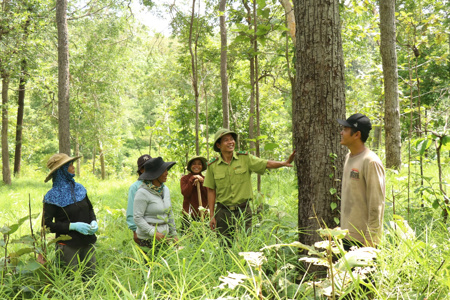 Cơm áo... từ rừng