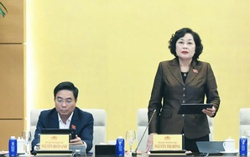 Ngưỡng chịu thuế với hộ kinh doanh nên từ 2 tỉ đồng