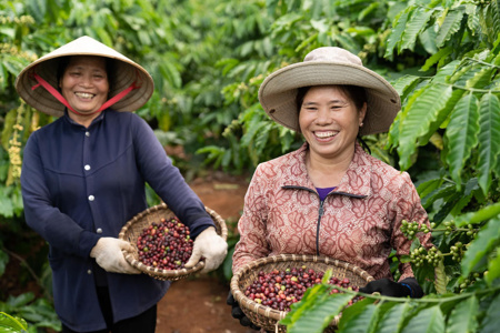 Giá nhiều mặt hàng nông sản có xu hướng giảm