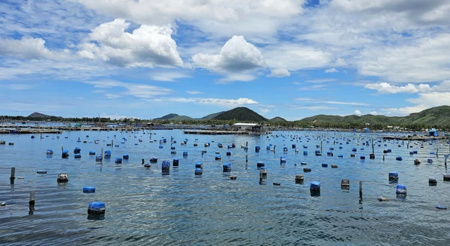 Đắk Lắk quản lý lồng bè, hướng tới hiện đại hóa nghề nuôi biển