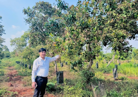 Nam Trung Bộ và Tây Nguyên cần chủ động ứng phó thời tiết phức tạp