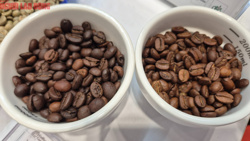 Giá cà phê hôm nay 24-4: Đồng loạt tăng 3 con số