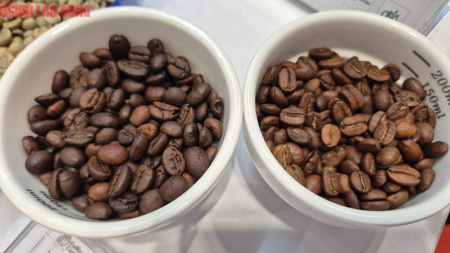 Giá cà phê hôm nay 24-4: Đồng loạt tăng 3 con số