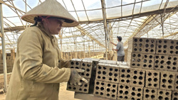 Hàng ngàn công nhân Đắk Lắk lo mất việc vì lò gạch phải chuyển đổi công nghệ
