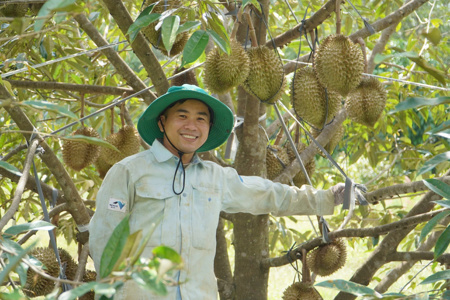Đi xa để trở về