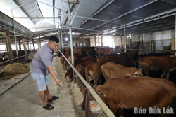 Ea Knốp sử dụng hiệu quả nguồn lực hỗ trợ người dân giảm nghèo