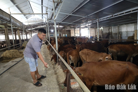 Ea Knốp sử dụng hiệu quả nguồn lực hỗ trợ người dân giảm nghèo