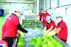 Nâng tầm giá trị nông sản Việt