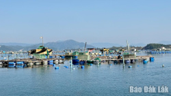 Thủ phủ tôm hùm chật vật phục hồi sau thiên tai