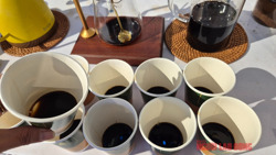 Giá cà phê hôm nay 6-4: Xu hướng sắp tới