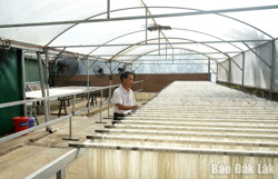 Ứng dụng công nghệ nâng tầm sản phẩm OCOP