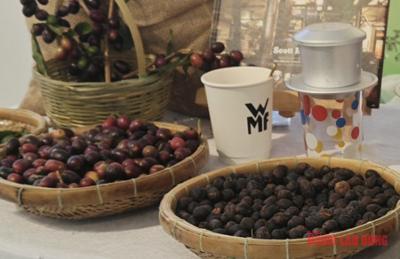Giá cà phê hôm nay 7-4: Arabica tăng giá, 20% vùng trồng có nguy cơ không phù hợp