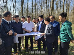 Đắk Lắk siết kỷ cương hành chính, thúc đẩy tăng trưởng 2 con số