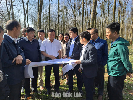 Đắk Lắk siết kỷ cương hành chính, thúc đẩy tăng trưởng 2 con số