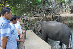 Quý 1 năm 2026: Tổng thu từ du lịch ước đạt 4.120 tỷ đồng