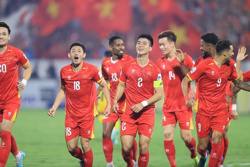 Tuyển Việt Nam đối mặt khoảng trống lớn khi Lee Jung-soo rời đi