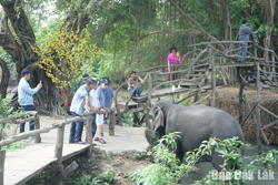 Giữ "huyền thoại núi rừng" bằng mô hình du lịch thân thiện