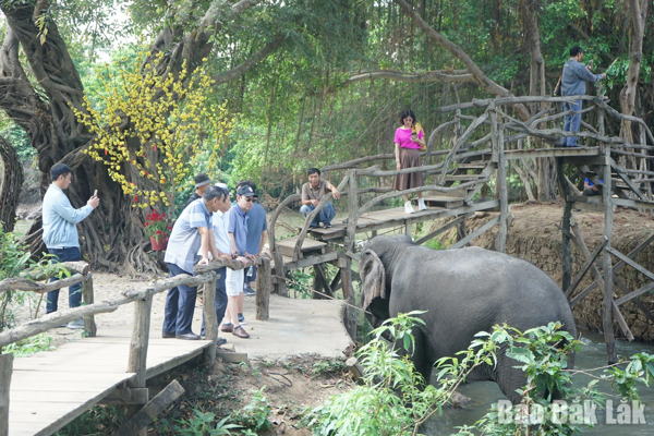 Giữ "huyền thoại núi rừng" bằng mô hình du lịch thân thiện