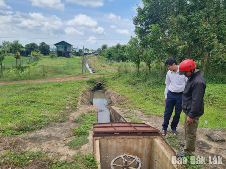 Đắk Lắk: Chủ động triển khai các giải pháp phòng, chống hạn vụ Đông Xuân 2025 - 2026