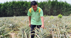 Thay đổi tư duy sản xuất để thoát nghèo