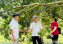 Nỗ lực giảm nghèo từ mô hình sát thực tế